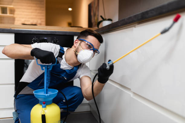 Best Pest Prevention Services  in St Michaels, MD