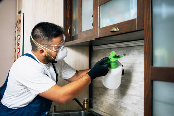 Best Best Pest Control Companies  in St Michaels, MD