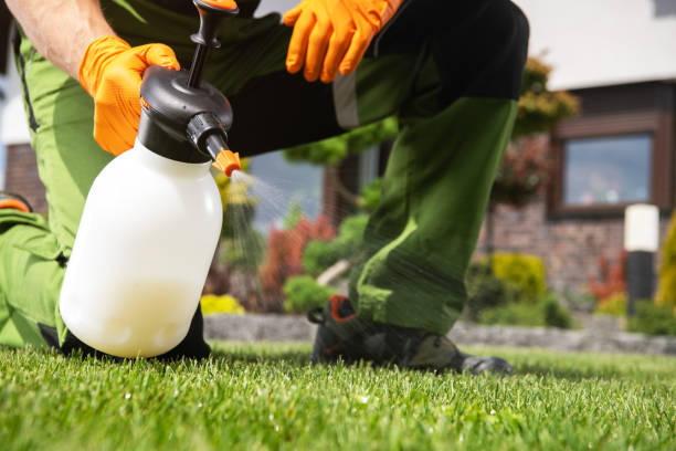 Professional Pest Control in St Michaels, MD
