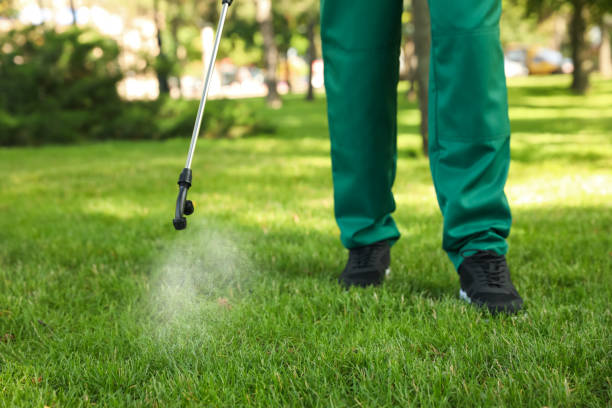 Best Bed Bug Extermination  in St Michaels, MD