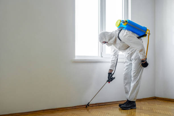 Best Pest Control Near Me  in St Michaels, MD