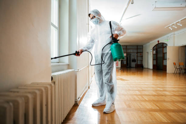 Best Rat Extermination Near Me  in St Michaels, MD